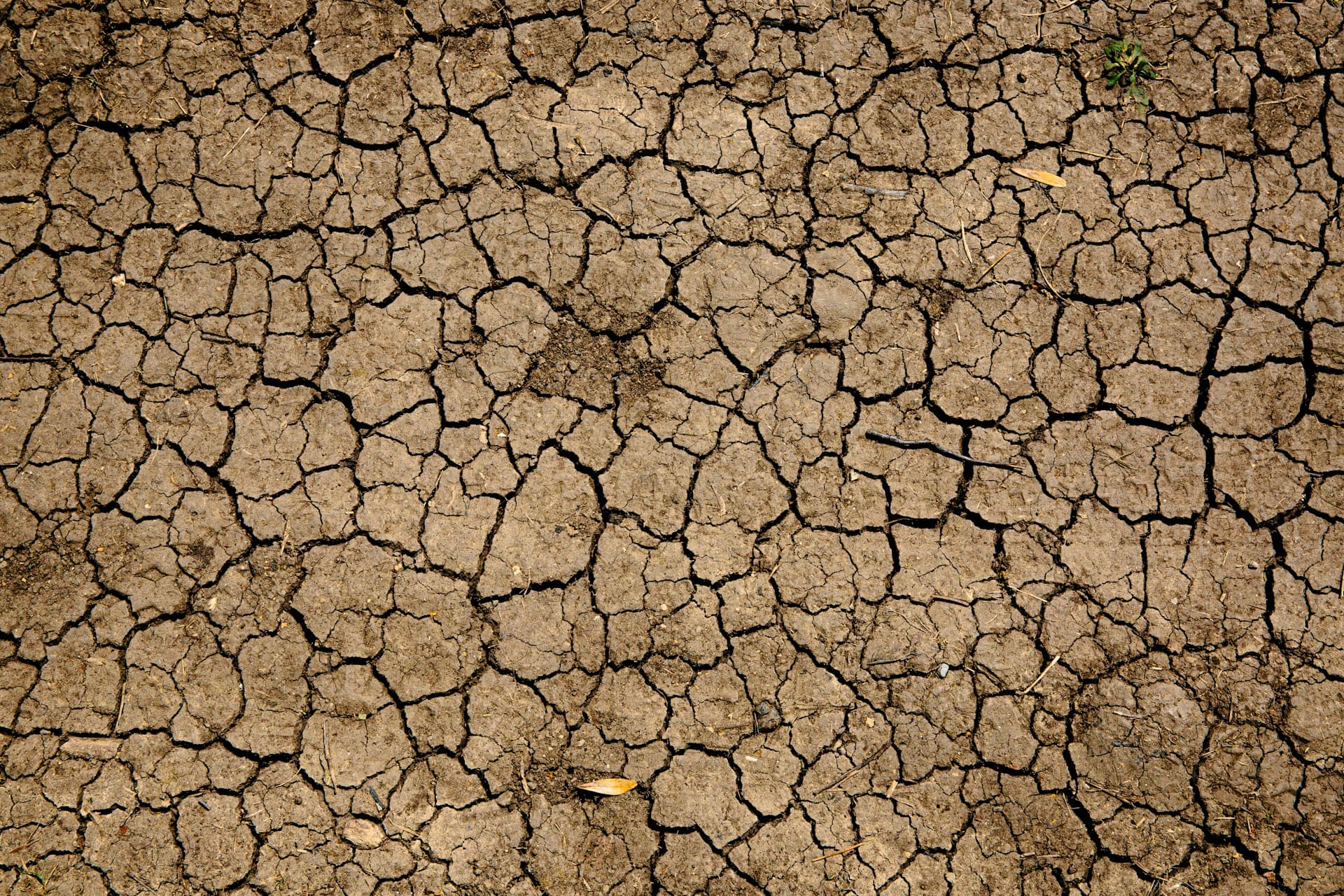 Climate, Environment & Sustainability